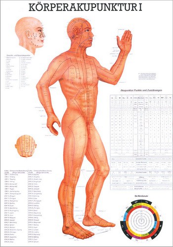 Körperakupunktur I, 24 x 34 cm, laminiert